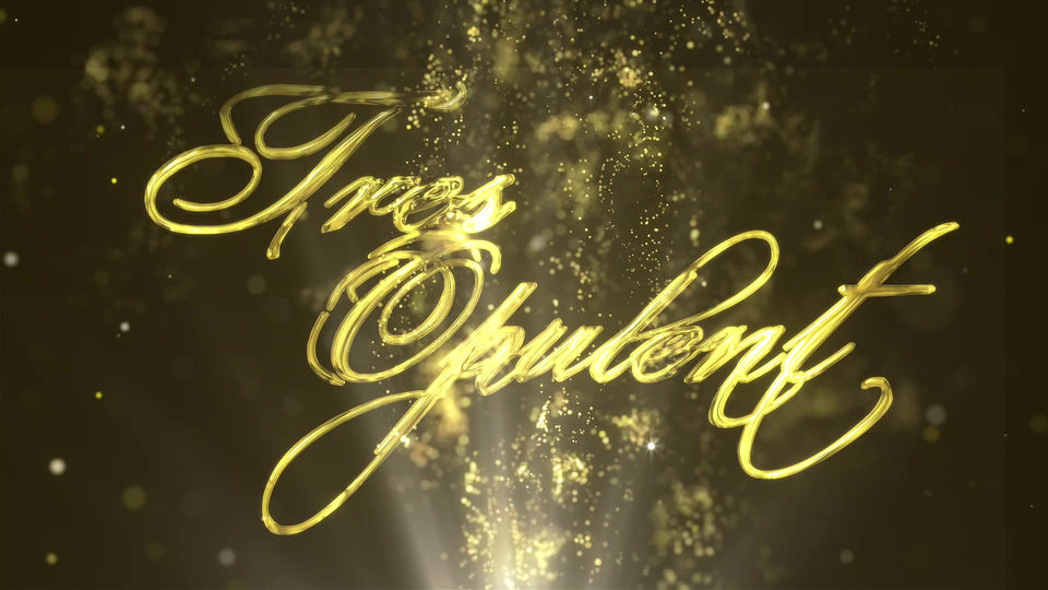 SD2020 Fall Show Logo Animation